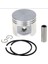 Piston Stihl 029-MS290-SR400 46MM Alp (Motorlu Testere) 1