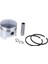 Piston Palmera BG520 44MM Kadmec (Motorlu Tırpan) 1