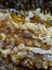 Kazdağı Siyah Sır Balı 850 gr 4