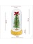 Yılbaşı Ağaçlı ve LED Işıklı, 17CM x 8cm Cam Fanus 2