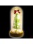 Yılbaşı Ağaçlı ve LED Işıklı, 17CM x 8cm Cam Fanus 3