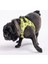 Greenossa Air - Mesh Göğüs Tasması Kedi Köpek Göğüs Tasması A22 3