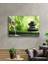 Yeşil Su Masaj Taşı Green Water Massage Stone 2