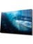 Sualtı Hayvanlar Cam Tablo Marine Life 1