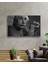 Siyah Beyaz Insan Fotoğrafları Albert Einstein 2