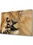 Aslan Cam Tablo 1