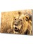 Aslan Cam Tablo 1