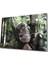 Koala Cam Tablo 1
