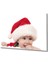 Kırmızı Noel Şapkalı Bebek Cam Tablo 1