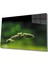 Yeşil Bitki Cam Tablo Green Plant 1