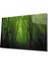 Orman Ağaç Yeşil Cam Tablo Forest Tree Green 1