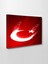 Türk Bayrağı (En Güzel Bayrak) 100 x 70 2