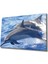 Yunus Balıkları Cam Tablo Dolphins 1