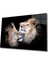 Aslan Cam Tablo 1