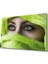 Yeşil Başörtülü Kadın Green Hijab 1