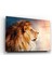 Aslan Cam Tablo 2