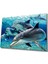 Yunus Balığı Cam Tablo Dolphin 1