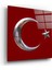 Bayrak Cam Tablo 1