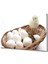 Civciv Yumurta Cam Tablo Chick Egg 1