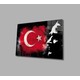 Seçili Renk Renkli