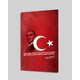 Seçili Renk Renkli