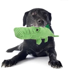 Fsfeng Yavru Squeak Peluş Köpek Oyuncak Dayanıklı Interaktif Doldurulmuş Hayvan Köpek Oyuncak Diş Temizleme Çiğneme Oyuncağı Yavru Köpekler Için Küçük Orta Büyük Köpek Agresif Çiğneme Oyu (Yurt Dışından)