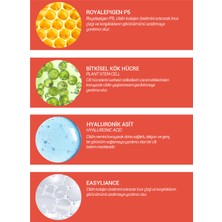 Cliniclab Yaşlanma Karşıtı Ve Sıkılaştırıcı Krem 50 ml (Tüp)