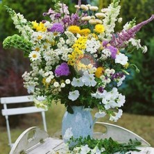 Zengarden 40 Renk Çiçek Tohum Karışımı Soğuğa Dayanıklı Çiçekler 46 Tür 60 Varyete