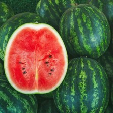 Zengarden Dev Karpuz Tohumu Geleneksel Watermelon Florida Giant