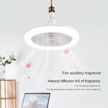 Decisive Uzaktan Kumandalı ve Işıklı Tavan Vantilatörü 30W LED Lamba Fanı Akıllı Sessiz Tavan Vantilatörü E27 Dönüştürücü Tabanı Gri (Yurt Dışından)
