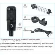 Decisive USB Kondenser Mikrofon 192KHZ/24BIT Yüksek Örnekleme Hızı Masaüstü Standı Bilgisayar Kayıt Kondenser Mikrofon Seti (Yurt Dışından)