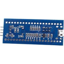 Decisive Robot STM32F103C8T6 Minimum Sistem Geliştirme Kartı STM32 Arm Devre Kartı Modülü (5 Adet) (Yurt Dışından)