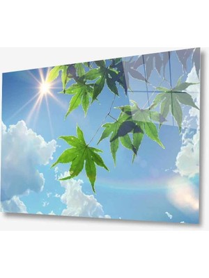 MiraLive   Doğa Cam Tablo