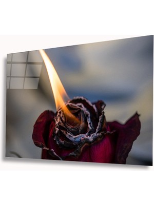 MiraLive  Ateş ve Gül Cam Tablo