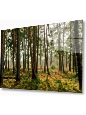 MiraLive   Doğa Cam Tablo