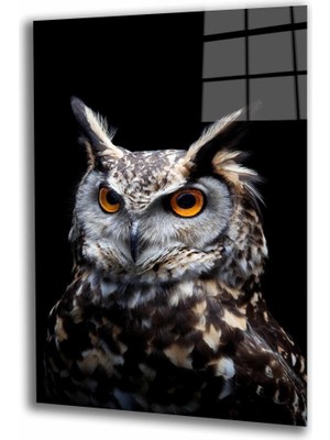 MiraLive  Baykuş Hayvan  Cam Tablo