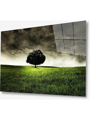 MiraLive   Doğa Cam Tablo