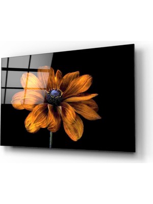 MiraLive  Çiçek Cam Tablo