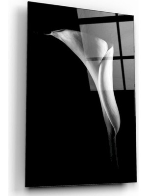 MiraLive  Zambak Cam Tablo