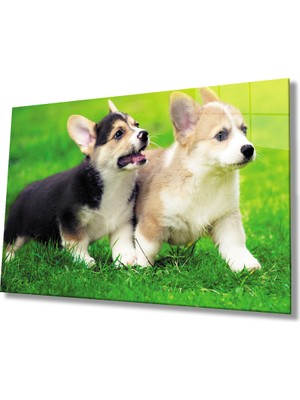 MiraLive  Köpekler Cam Tablo