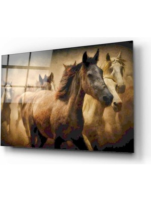 MiraLive  Atlar Cam Tablo