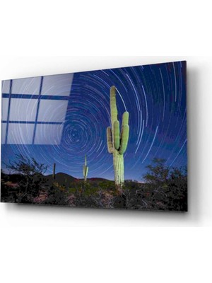 MiraLive  Manzara Cam Tablo