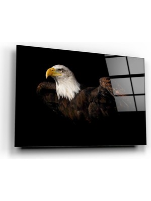 MiraLive  Kartal Cam Tablo