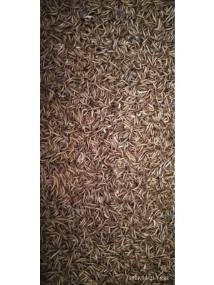 Özel Üretim Unkurdu