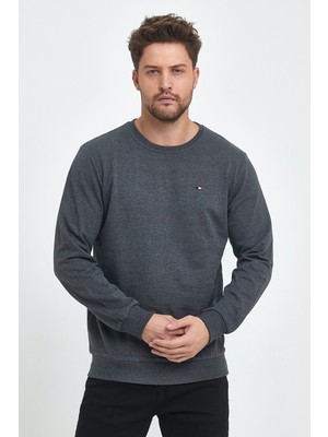 Erkek Antrasit Bisiklet Yaka Nakış Detaylı  Regular Fit Sweatshirt
