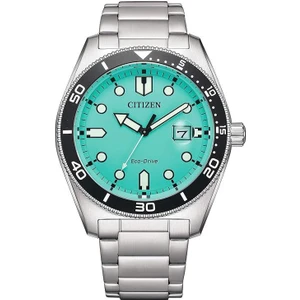AW1760-81W Erkek Kol Saati