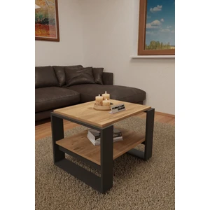 Furnature Design Dikdörtgen Orta Sehpa Raflı Atlantik Çam - Antrasit