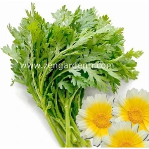 Chop Suey Tohumu Salad Shungiku Yenilebilir Yaprak ve Çiçekler