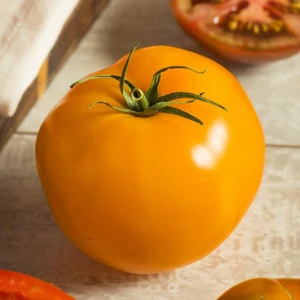 Sarı Domates Tohumu Golden Sunray Tomato Atalık