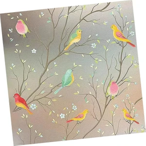 Pencere Gizlilik Filmi Kuş Yurt Ofis Otel Için Tutkalsız Cam Filmi 45CMX100 cm (Yurt Dışından)